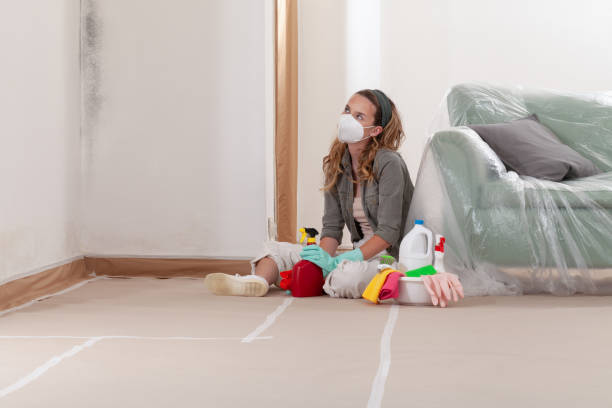 Reliable Hvac And Air Duct Mold Remediation contractor in Milton, MA by 24 Hour Mold Removal